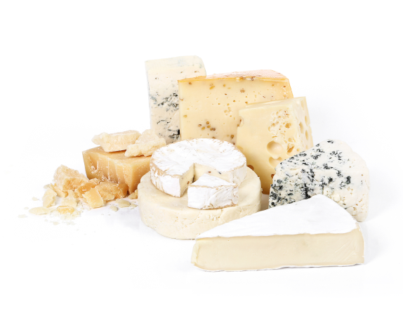 Neden İslamoğlu Vakfıkebir?